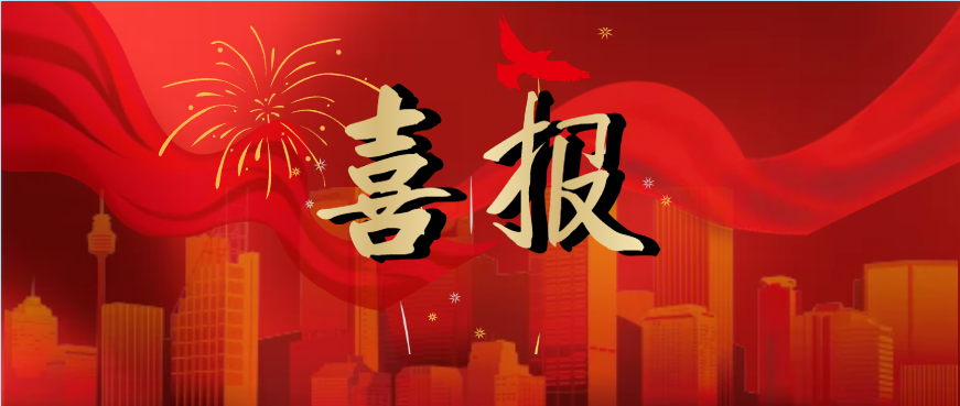 喜报 | 立齐荣获佛山市全过程工程咨询管理协会 2025 年度表彰